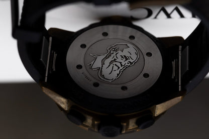 2019 IWC Aquatimer Chronograph Charles Darwin Complete Set
