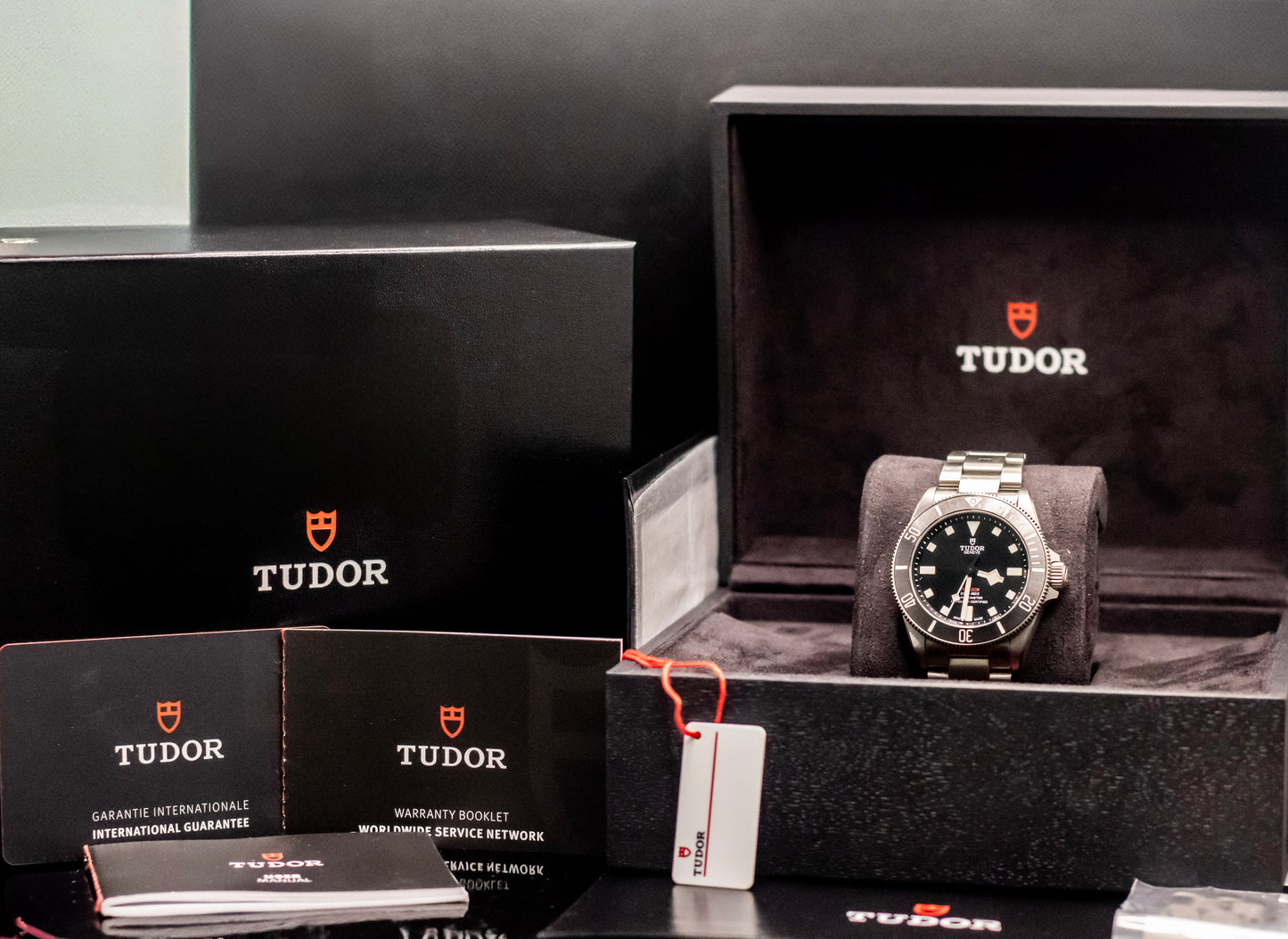 2022 TUDOR Pelagos 39mm Titanium Automatic Dive Watch - 25407N - BOX AND PAPERS
