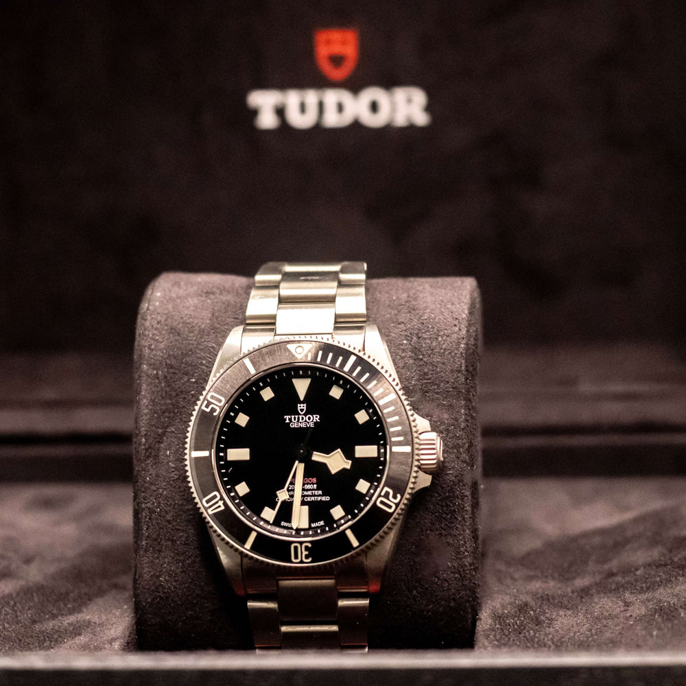 TUDOR Pelagos 39mm Titanium Dive Watch displayed on padded holder with signature logo in the background.