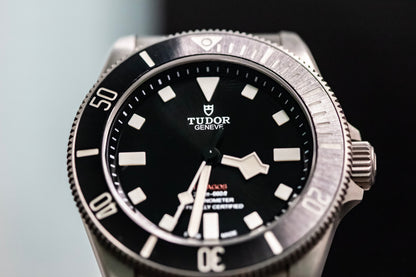 2022 TUDOR Pelagos 39mm Titanium Automatic Dive Watch - 25407N - BOX AND PAPERS