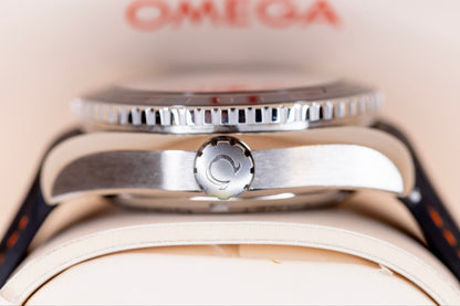 2024 Omega Seamaster Planet Ocean 600M GMT