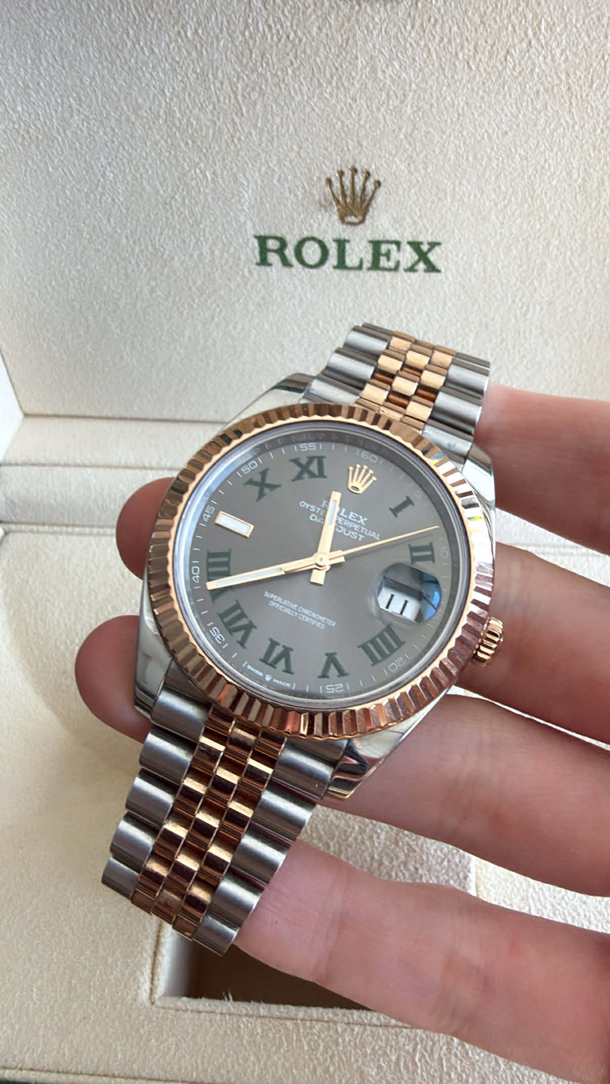 Rolex Datejust 41 Wimbledon 126333 with slate gray dial and green Roman numerals, displayed in a Rolex box.