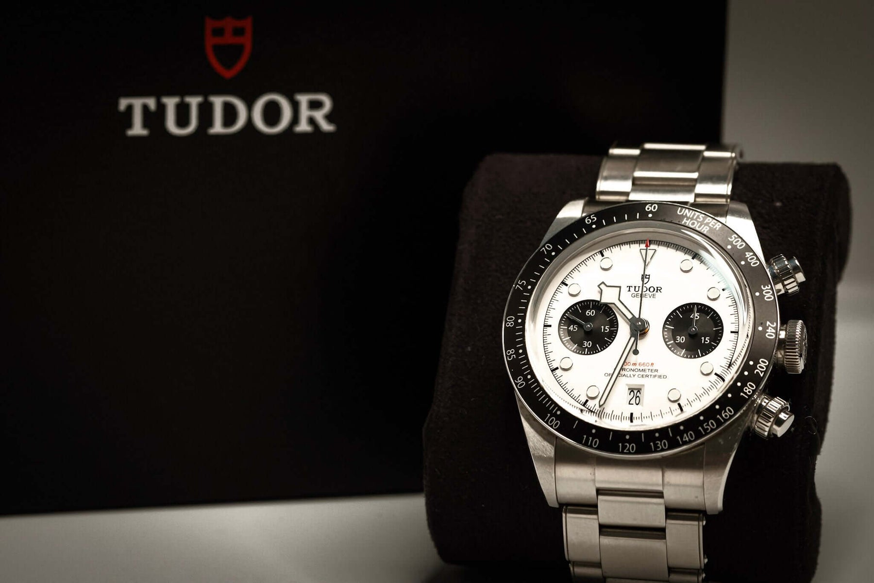 Tudor Black Bay Chronograph Panda displayed on a plush stand next to its distinctive black box.