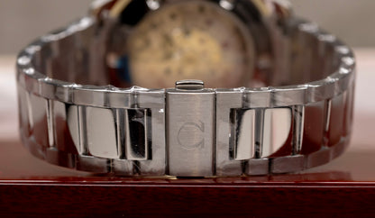 Omega Seamaster Aqua Terra 41.5mm (2012) – Ref. 231.10.42.21.02.002