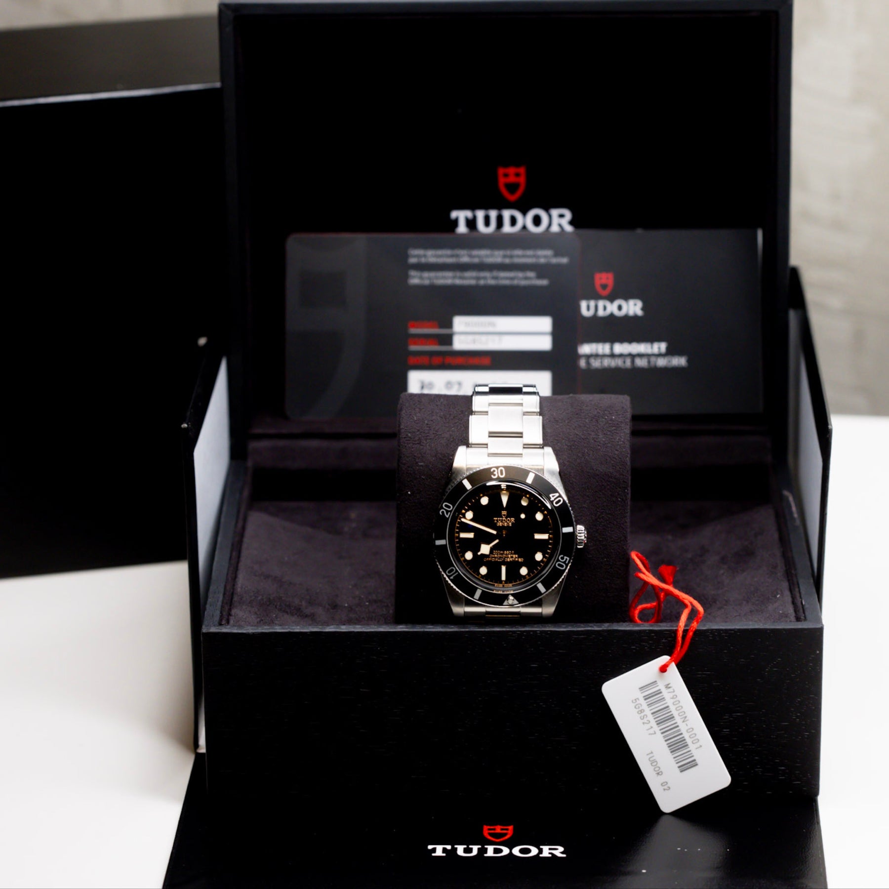 2024 Tudor Black Bay 54 Original Box & Papers