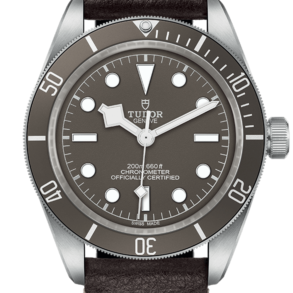 Tudor Black Bay Fifty-Eight 925 Ref - M79010SG-0001