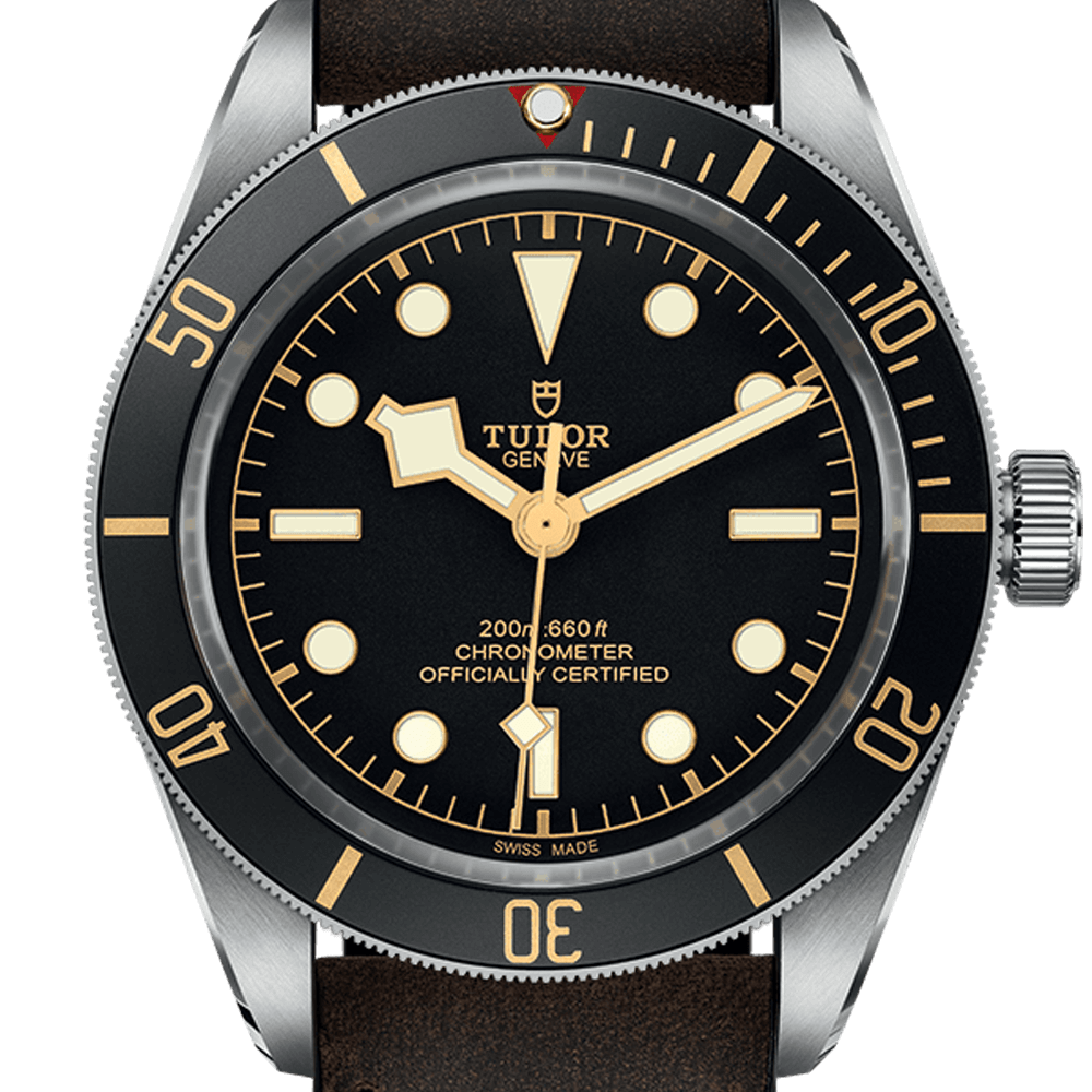 Tudor Black Bay Fifty-Eight Ref - M79030N-0002