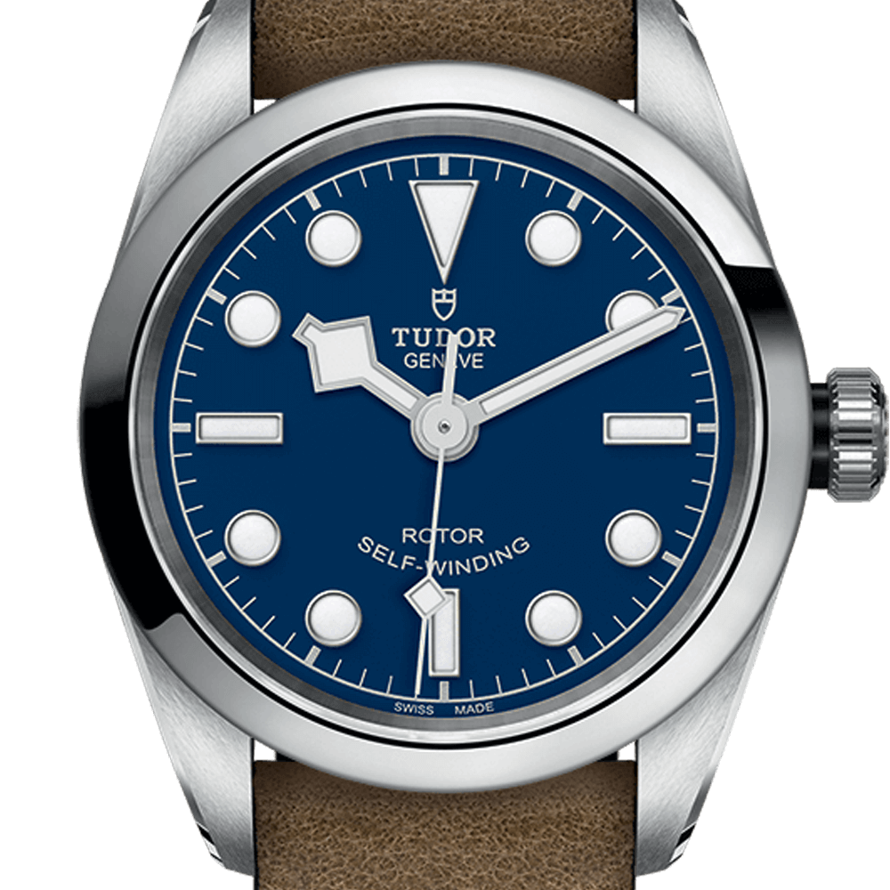 Tudor Black Bay 32 Ref - M79580-0004