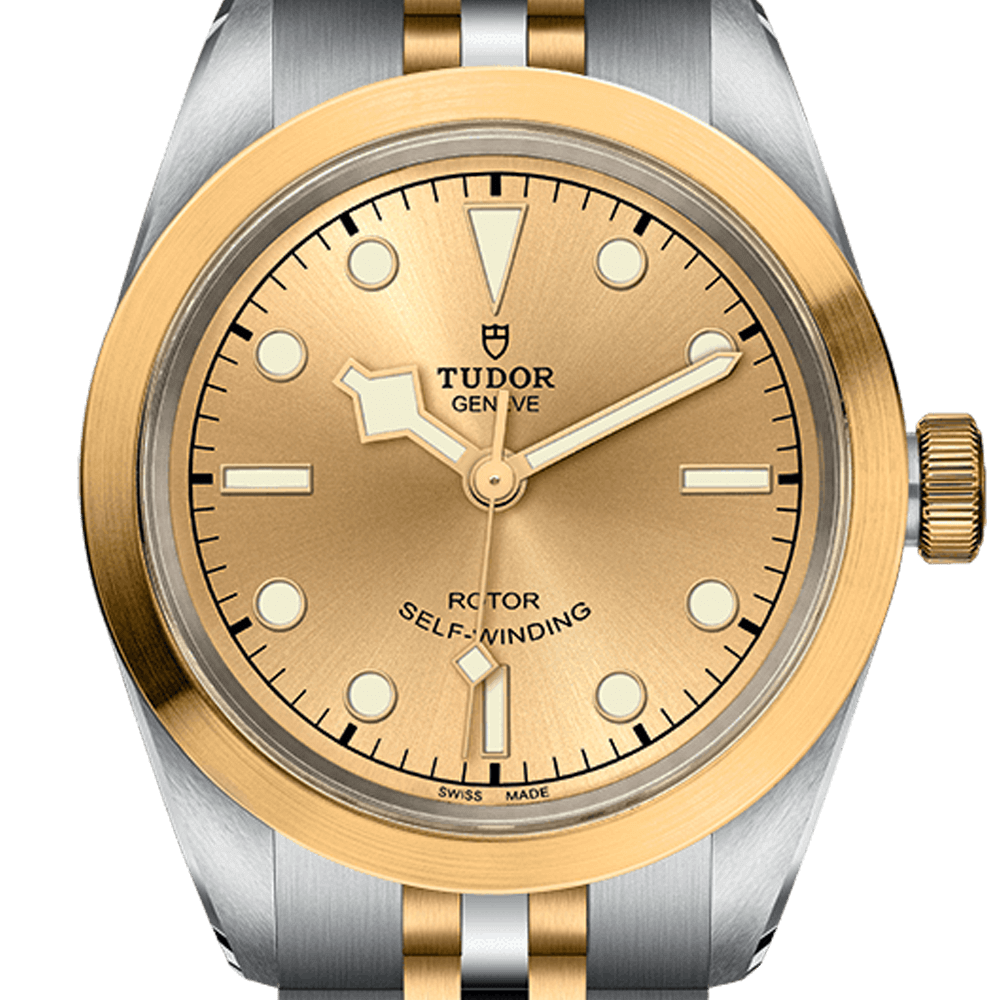 Tudor Black Bay 32 S&G Ref - M79583-0002