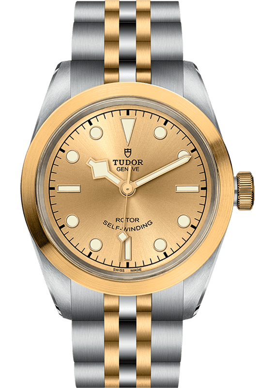 Tudor Black Bay 32 S&G Ref - M79583-0002