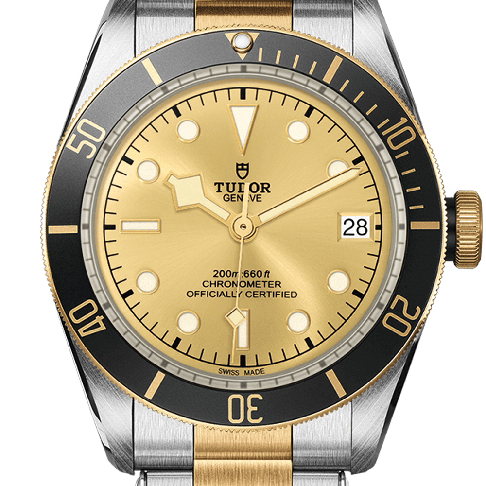 Tudor Black Bay S&G Ref - M79733N-0004