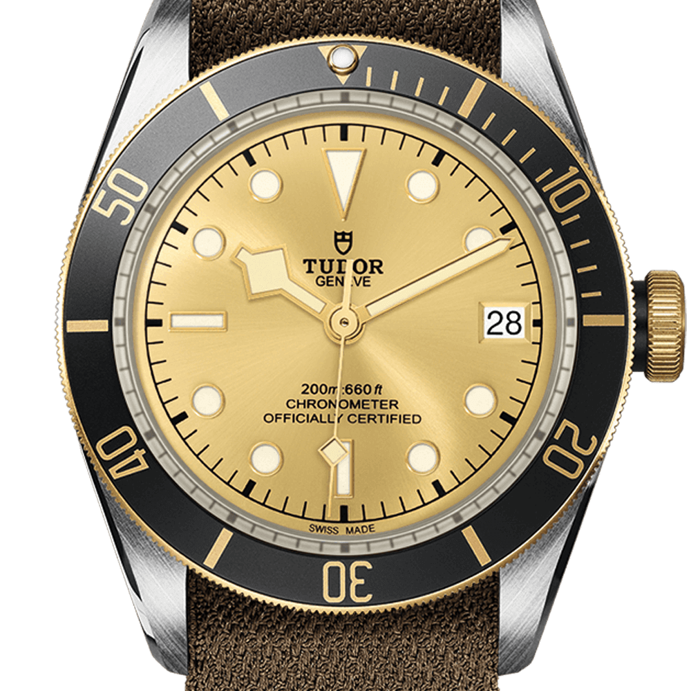 Tudor Black Bay S&G Ref - M79733N-0006