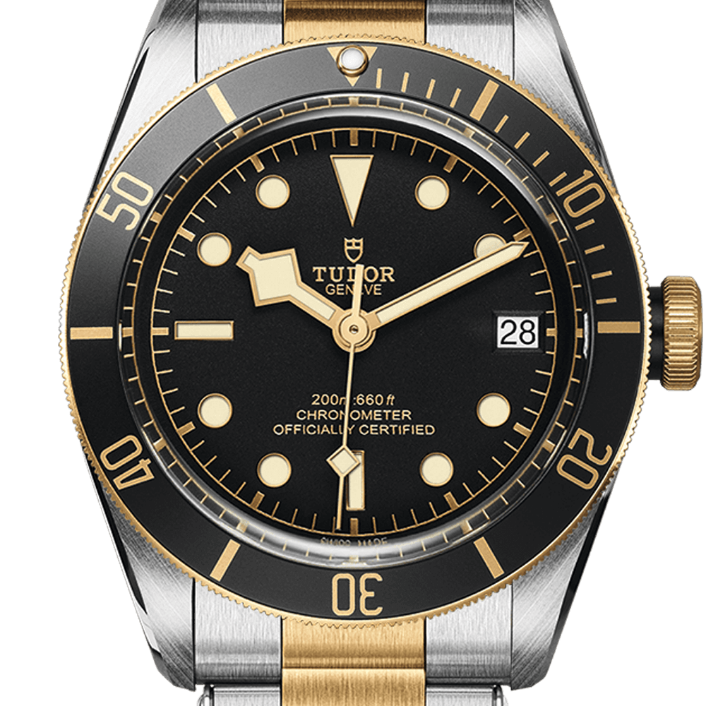 Tudor Black Bay S&G Ref - M79733N-0008